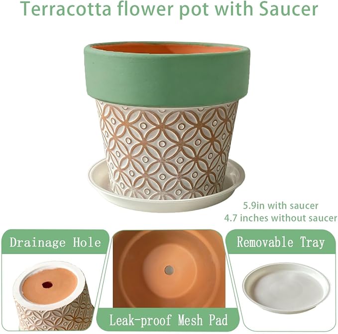 Terracotta Plant Pots Set of 2-4.7 Inch Vintage Pattern Clay Flowerpots with Green Rim & Drainage Holes, Decorative Terra Cotta Pots for Indoor Outdoor Garden Home Decor