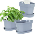 Windowsill Herb Garden Planter with Tray, Set of 6 Grey Oval Farmhouse Garden Pots for Indoor/Outdoor Plants (No Seeds)