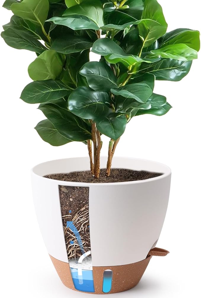T4U 12 Inch Self Watering Pot - Water Level Indicator & Deep Reservoir, Mess-Free Planter for Busy People, Beginners & Gardeners, Fits Rubber Tree/Fiddle Leaf Fig Plants, Indoor Outdoor Use (White)