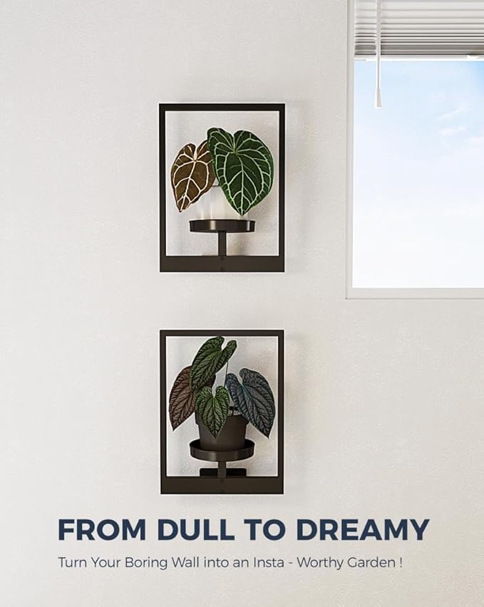 Bamworld Plant Stand Indoor Wall Decor Metal Plant Hanger Indoor Hanging Plant Holder Wall-Mounted Planters Outdoor Plant Rack Black 2 Pack (Patent Design)