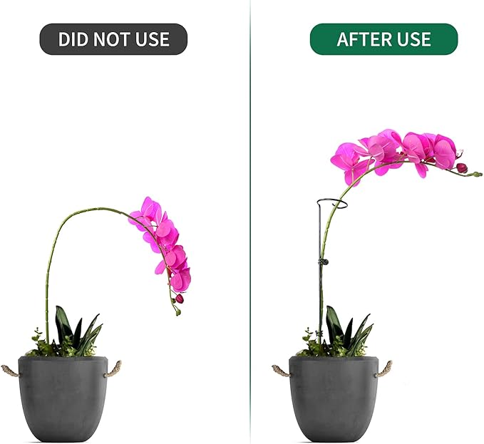 12 Pack Plant Support Stakes with 24 Pcs Plant Clips, Garden Single Stem Support Stake, Plant Cage Support Ring for Indoor Outdoor Flowers Rose Amaryllis Tomatoes Peony Lily Orchid (24 Inch)