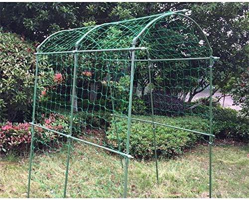 Pack of 2 Cucumber Tomato Trellis Netting, Heavy Duty Garden Netting for Climbing Plants Support, Pea, Grape, Bean, Fruit, Vegetables - 4" Mesh Size, 3Ft x 6Ft