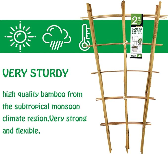 Natural Bamboo Trellis 24 Inches Tall, Mininfa Garden Ladder Trellis, Plant for Climbing Plants, Vegetables, Pots - 3 Pack