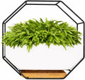 IRYL Wall Planter for Indoor Plants - Ceramic Wall Hanging Planter Set with Bamboo Tray & Hooks - Decorative Wall Plant Holder - Modern Wall Planters for Vertical Garden Home Decor - Black