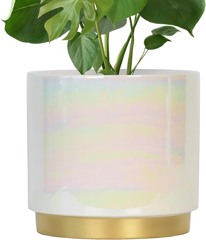 Gepege White Indoor Plant Pots for Plants, Large Ceramic Planter with Drainage Hole, 9.6-inch Succulent Orchid Flower Pot - Rainbow Pearl Glaze