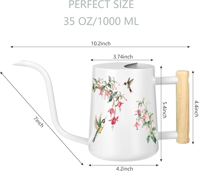 Watering Can Indoor Plants, 35oz Small Stainless Steel Metal Watering Can Modern Decorative Watering Pot with Long Spout for Indoor House Plant Bonsai Garden Flowers (White 1)