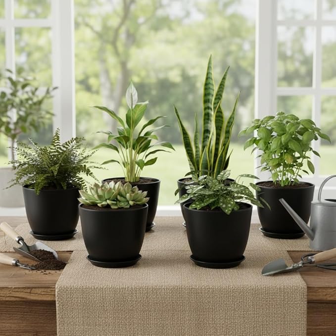 Plant Pots 8 Inch Set of 6, Flower Pots with Drainage Holes and Saucer, Plastic Garden Planters for Indoor & Outdoor Plants (Black)