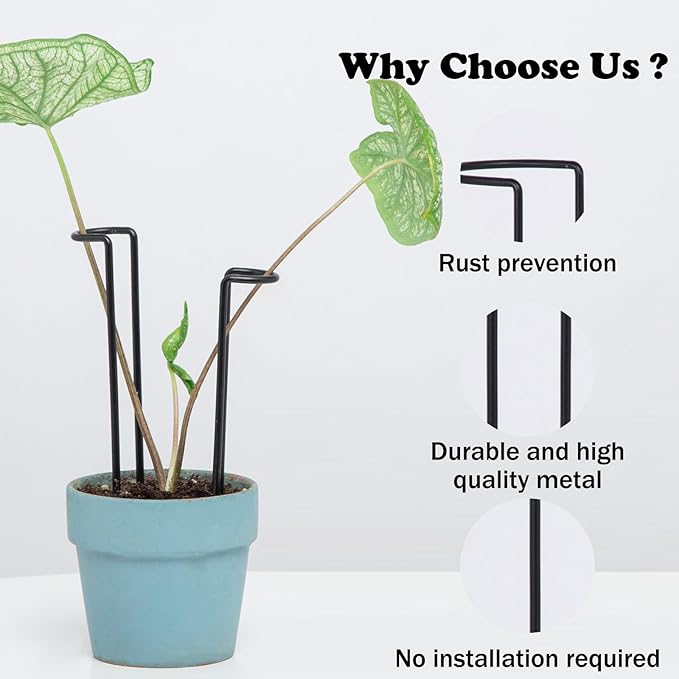 10 Pack Indoor Plant Support for Monstera Trellis Stakes and Stem Holder - Perfect for Small Indoor Plants, Desktop Gardens & Flower Shelf Use, Easy to Set Up and Efficient Support