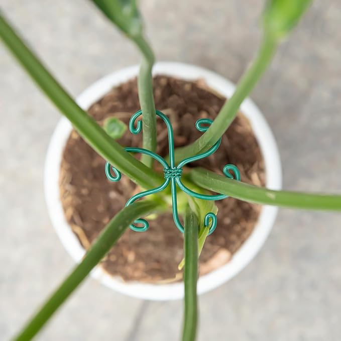 Monstera Plant Stem Support - Set of 5 Sturdy Indoor Support Sticks for Monstera & Climbing Plants - Essential Growth Stabilizers for Leaf Support - Easy-to-Use Gardening Accessories