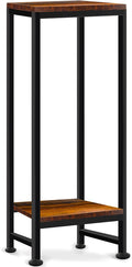 Plant Stand Indoor, Tall Plant stands for Indoor Outdoor Plants, 2 Tier Heavy Duty Plant Shelf 31" Metal Pedestal Stand Modern Corner Flower Stand for Patio, Living Room, Balcony