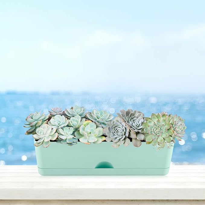6 Pack Rectangle Planter 16x4.4 Inch Window Boxes Planters Rectangular Large Window Sill Planters Indoor Self Watering Plant Pots with Drainage Holes and Saucers Succulent Herb Flower Pots, Blue