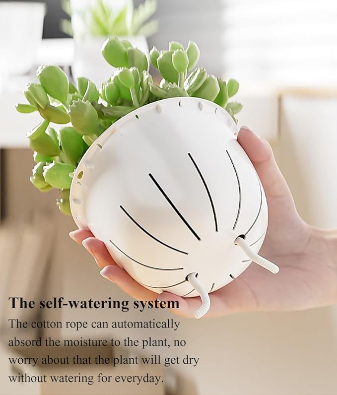 Self Watering Pots for Indoor Plants, Flower Pots, Self Watering Plant Pot-6pcs 4inch Clear