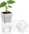 QCQHDU 2 Inch Mini Self Watering Pots for Indoor Plants, 15 Pack Semi Hydroponic Pots, Small Clear Plastic Planters, Drainage Hole, Water Level Indicator, African Violets, Alocasia, Cutting, Seeding