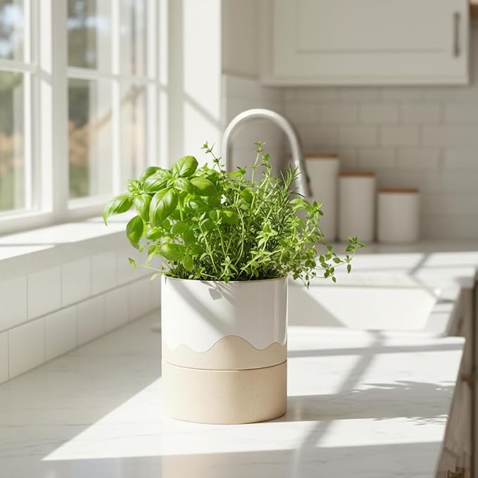 Nihow Self Watering Plant Pot: 6 Inch Ceramic Planter with Drainage Hole & Water Storage Plus for Indoor & Outdoor Plants - Cylinder Round Flower Pot for Succulent/Herbs/Violets - White & Nature