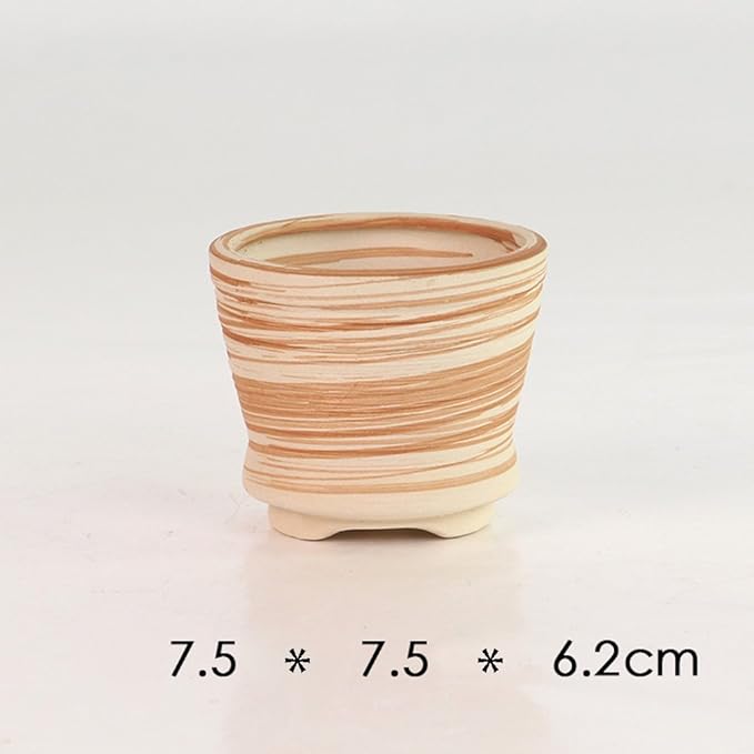 Sun-E 6 in Set 7.6 cm Ceramic Wooden Pattern Succulent Plant Pot Cactus Plant Pot Flower Pot Container Planter Gift Idea