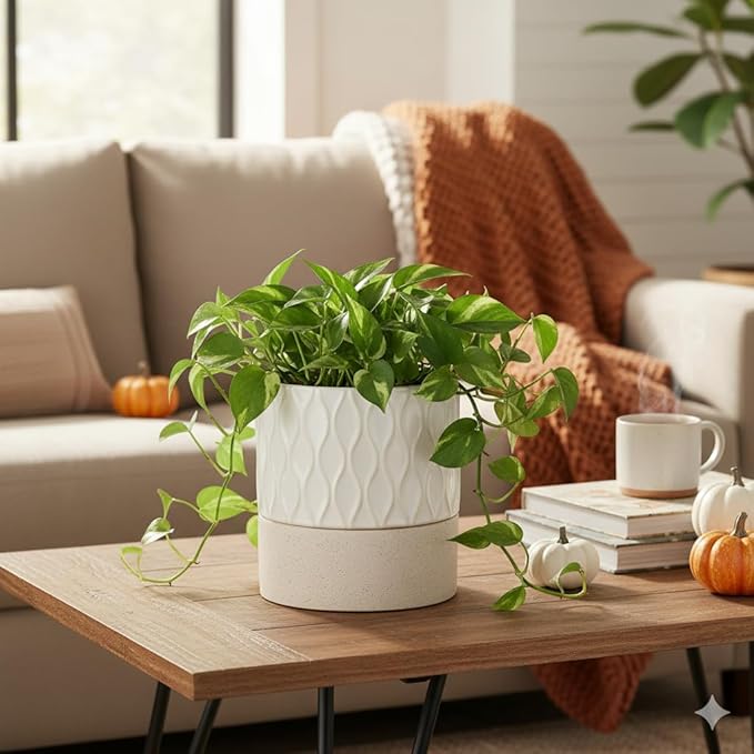 Nihow Self Watering Plant Pot for Indoor Plants: 6 Inch Ceramic Planter with Drainage Hole & Water Storage Plus - Cylinder Flower Pot with Wick for Herbs - Cream White & Brown Net