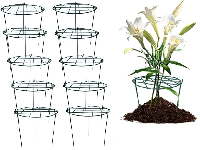 MTB Supply 10 Pack 16 x 24 inch Peony Cages,Grow Through Plant Support Stakes, Flower Support Hoops Heavy Plants Brace Rings