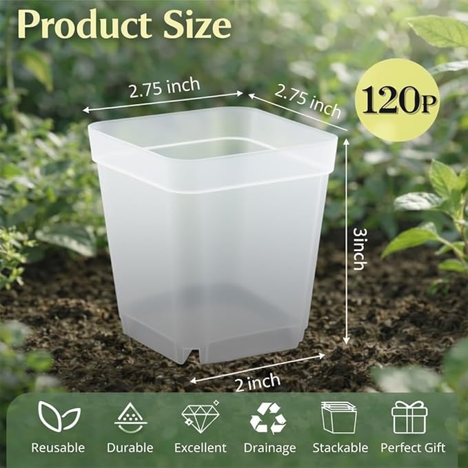 120 Packs Square Clear Nursery Pots with Drainage, 2.7 Inch Plastic Seedling Pots for Indoor Plants, Thickened Small Transplant Pot for Seed Starting Succulents Vegetables Lettuce Flowers