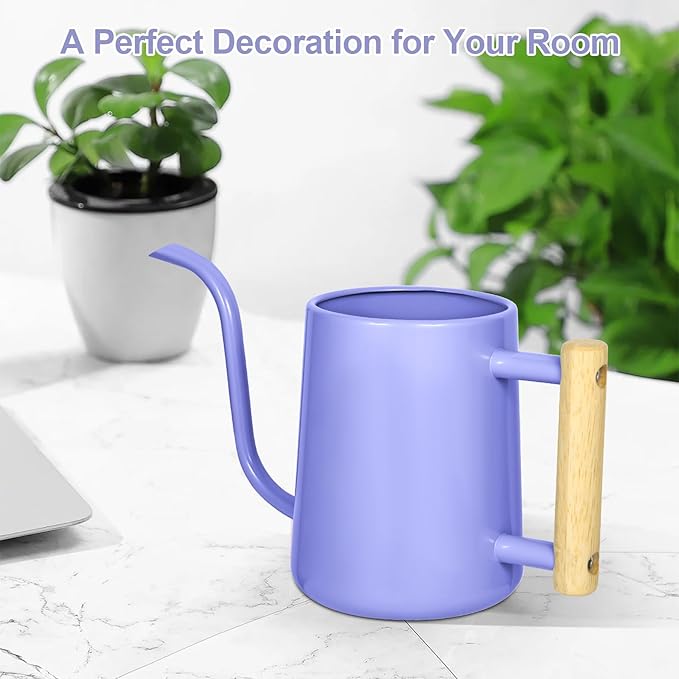 Watering Can Indoor Plants, 35 oz/1000 ml Metal Stainless Steel Watering Can Pot with Long Spout for Indoor House Plants Bonsai Outdoor Garden Flower Decorative (Purple)