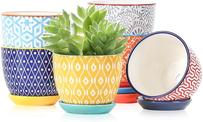 Selamica Ceramic Succulent Pots, 3.5 Inch Small Plant Pots for Indoor Plants Cactus Herbs, Succulent Planters with Drainage Holes & Saucers, Home Decor, Set of 6, Assorted Colors