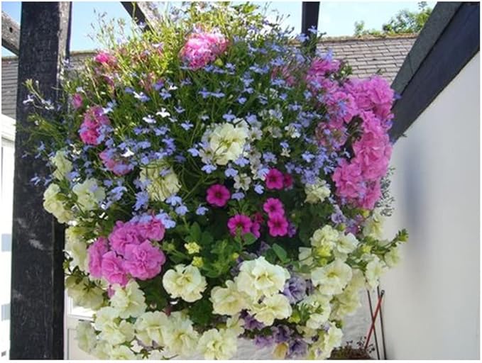 Ultimate Hanging Baskets - Strawberry, Tomato, Flower, and Herb Outdoor Planters - Use Garden Pots for Growing Plants Outside On A Deck, Fence, or Balcony (2)