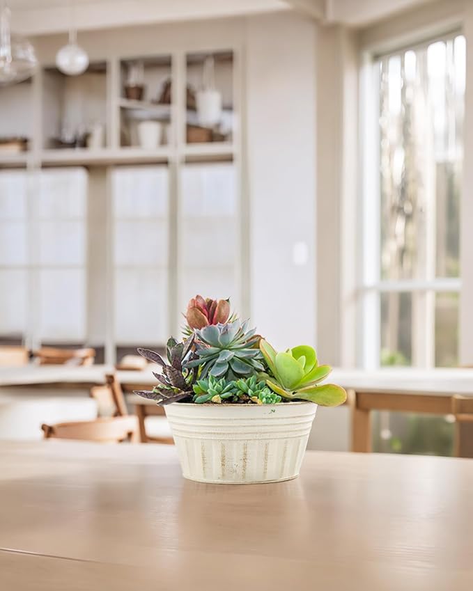vensovo 10 Inches Beige Metal Rustic Plant Pots - 4 Pcs Large Shallow Galvanized Planters with Drain Hole and Rubber Plug, Rustproof Tin Bucket Succulent Pot Indoor Farmhouse Vintage Style for Decor