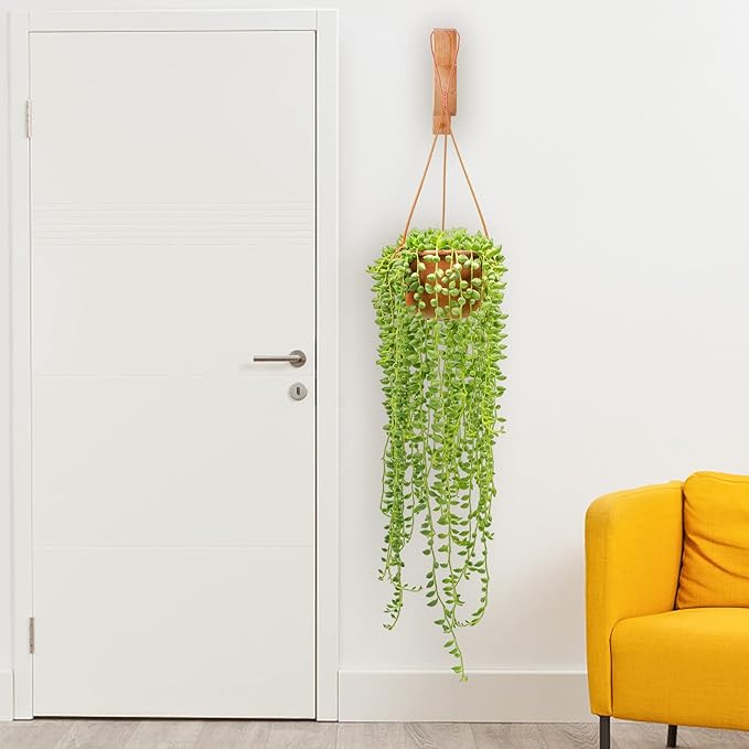 7-Inch Hanging Plant Brackets, Arc-Shaped Wooden Plant Hanger Indoor, Wall Mount Hooks for Outdoor Hanging Bird Feeders, Flower Baskets Pots, Wind Chimes, Lanterns