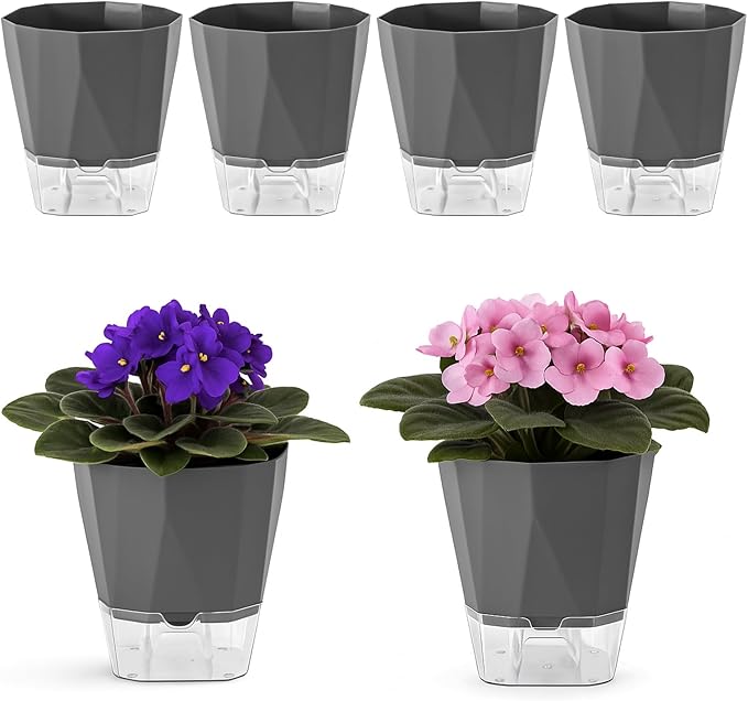 6 Pack Self Watering Pots for Indoor Plants, 5 Inches Self Watering Planters African Violet Self Watering Clear Pots for Plants Herb Orchid Flower Houseplant, Dark Grey