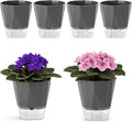 6 Pack Self Watering Pots for Indoor Plants, 5 Inches Self Watering Planters African Violet Self Watering Clear Pots for Plants Herb Orchid Flower Houseplant, Dark Grey