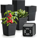 BTPLASTIK Square Nursery Pots 5.5 Inch, 50Pcs Plastic Sturdy Reusable Seedling Pots with Drainage Holes, Garden Flower Planters for Indoor/Outdoor, Transplanting, Succulents, Cuttings, Black