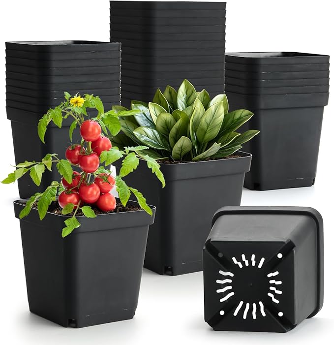 BTPLASTIK Square Nursery Pots 5.5 Inch, 50Pcs Plastic Sturdy Reusable Seedling Pots with Drainage Holes, Garden Flower Planters for Indoor/Outdoor, Transplanting, Succulents, Cuttings, Black
