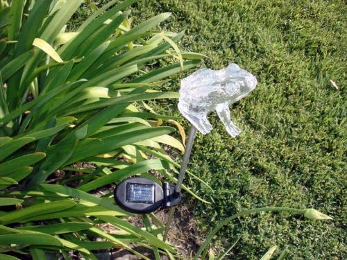 Solar Garden Stake Lights with Color Changing LED or Regular White LED Landscape Path Lights (Set of 2) (Frog)