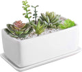 MyGift 10 Inch Modern Unglazed White Ceramic Indoor Plant Pot with Drainage Hole, Rectangular Succulent Planter Window Box with Removable Saucer, 1 Pack