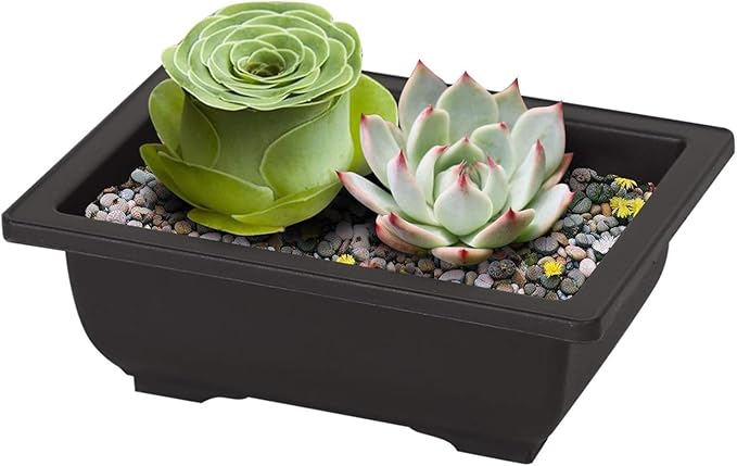 MANCHAP 20 PCS 8.9 Inch Plastic Bonsai Training Pots, Rectangular Bonsai Tree Planter Pot for Garden, Yard, Office, Home Decorative
