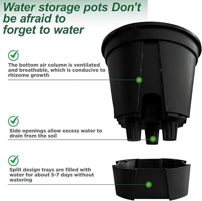 Cdd's Path 5-Pack 6 Inch Naked Root Planter Self Watering Pots Set with Holes for Indoor/Outdoor Plants, Planter Pot with Watering Hole/Reservoir and Air Pipes, Black
