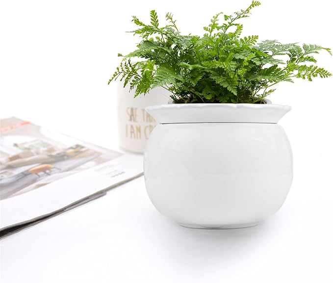 BUYMAX African Violet Pots, 6 inch Ceramic Easy Self Watering Plant Pot for Busy Plant Lovers, Automatically Absorb Appropriate Amount of Water, Flower Pot Indoor-Plants Not Included