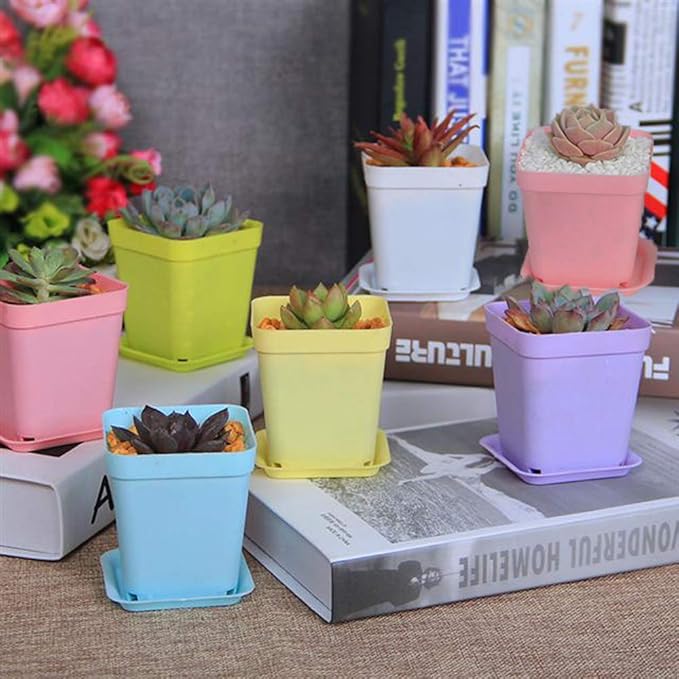 Haawooky 24 Pack Colorful Flower Pots Square Plastic Plant Pots Succulent Planter Nursery Pots with Saucers for Your Room,Garden Office and Balcony Decor