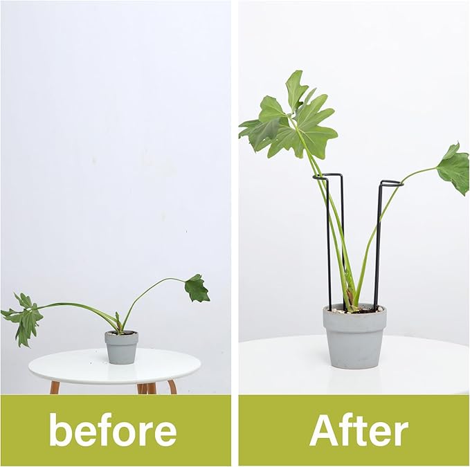 10-Pack Monstera Plant Support - 12 Inch Durable Iron U-Shaped Trellis Stakes for Indoor & Outdoor Medium-Sized Potted Plants - Perfect Stem Holder for Monstera & More