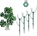 4 Pack Stackable Monstera Plant Support Stakes, 29inch Climbing Plant Sticks Structures with Garden Ties, Durable Alternative to Moss Pole for Indoor Outdoor Plants