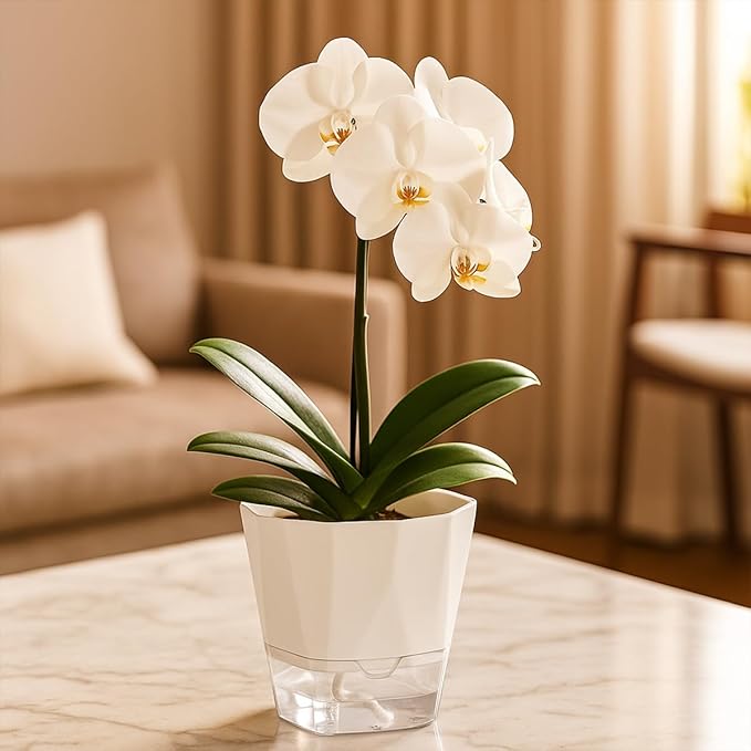5 Pack Self Watering Pots for Indoor Plants, 5/6.7/8.4 Inches Self Watering Planters African Violet Self Watering Clear Pots for Plants Herb Orchid Flower Houseplant Pots, White