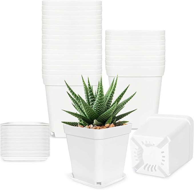Anyumocz 24Pcs 3" Square Plastic Plant Pots,White Nursery Pots with Saucers,Seedling Nursery Transplanting Planter Container for Plants,Garden,Flower,Home,Office,Balcony Decor,Indoor,Outdoor