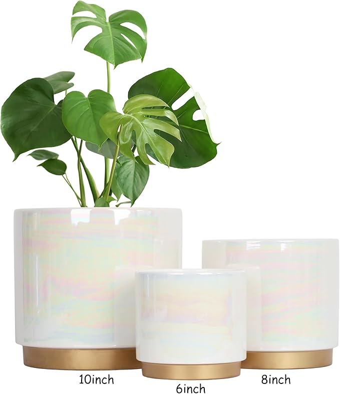 Gepege White Indoor Plant Pots for Plants, Ceramic Planter with Drainage Hole, 7.6 Inch +6 Inch 2pcs Succulent Orchid Flower Pot - Rainbow Pearl Glaze