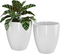 QCQHDU 10 inch Plant Pot with Drainage Hole, 2 Pack Sturdy Pots for Plant Tree Flower, Large PlanterPlanters for Indoor & Outdoor Plants