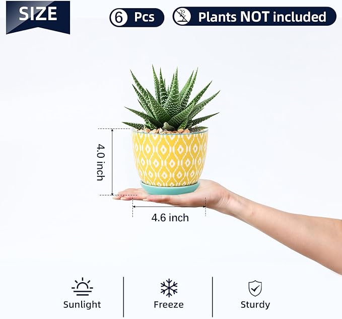 Selamica Ceramic Succulent Pots, 4.6 Inch Small Plant Pots with Drainage Holes & Saucers, Succulent Planters for Indoor Plants Cactus, Home Decor, Set of 6, Assorted Colors