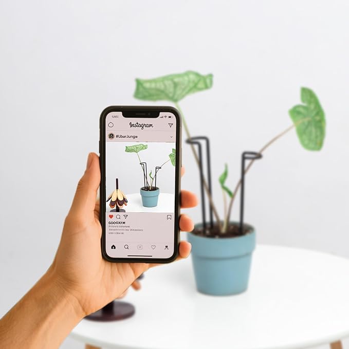10 Pack Indoor Plant Support for Monstera Trellis Stakes and Stem Holder - Perfect for Small Indoor Plants, Desktop Gardens & Flower Shelf Use, Easy to Set Up and Efficient Support