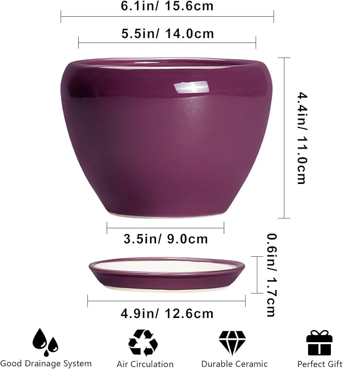 Ceramic Pots for Plants 6 Inch - Ceramic Plant Pots with Drainage Hole and Saucer, Glaze Round Planter for Succulent Plants, Gifts for Plant Lovers, Garden Home Decor, Purple