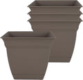 The HC Companies 8 Inch Eclipse Square Planter Pots with Drainage Holes & Attached Saucer, Lightweight UV-Resistant Plastic Indoor Outdoor Planters, 4-Pack Flower Pots, Garden Home Decor, Cappuccino