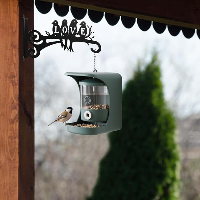 2-Pack Aesthetic Plant Hangers Outdoor and Indoor – 10 Inch Metal Hanging Plant Bracket with Beautiful Bird Pattern – Anti Rust Plant Hooks for Hanging Baskets, Bird Feeder, Windchime, Lantern