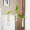 3 Pieces Hanging Plant Glass Test Tubes Hydroponic Vase Planters Wall-Mounted Terrarium Container for Indoor Outdoor Home Decoration (White)