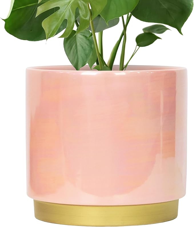 Gepege Pink Indoor Plant Pots for Plants, Large Ceramic Planter with Drainage Hole, 9.6-inch Succulent Orchid Flower Pot - Rainbow Pearl Glaze